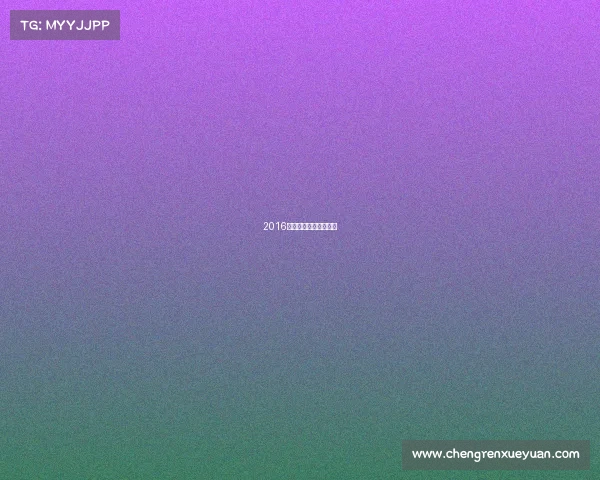 2016全国电子竞技大赛冠军