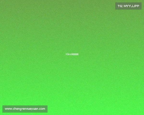 XBee电竞荣耀之路 XBee电竞荣耀之路